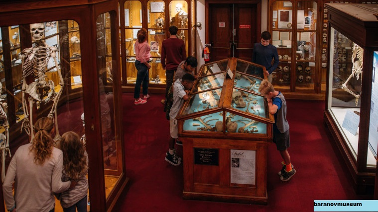 5 Koleksi Unik Sekaligus Menyeramkan di Mutter Museum, Amerika Serikat