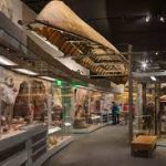 Pembunuhan Berusia 126 Tahun Terjadi Di Museum Alaska